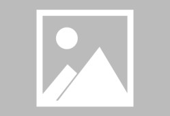 金年会官方网站包含深圳男篮训练开放日，转会期远射贴柱引欢呼，NBA常规赛在即，数据趋势出现新变化的词条